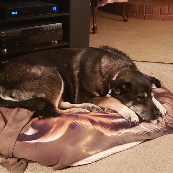 Meet your Posher, Kyle - Picture 1 of 1